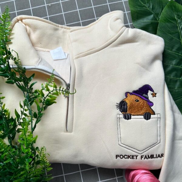 Wizard Capybara Embroidered Hoodie, Pocket Familiar Sweatshirt, Fantasy Quarter Zip, Capybara Lover Gift